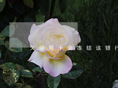 欠信用卡会冻结该银行储蓄卡吗-