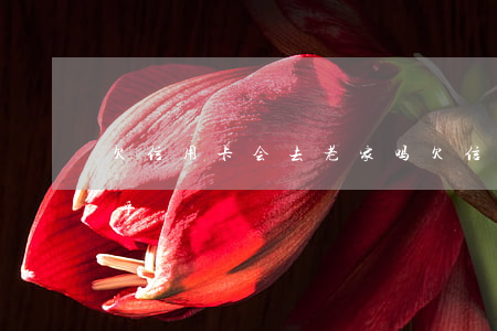 欠信用卡会去老家吗(欠信用卡会去老家吗知乎)