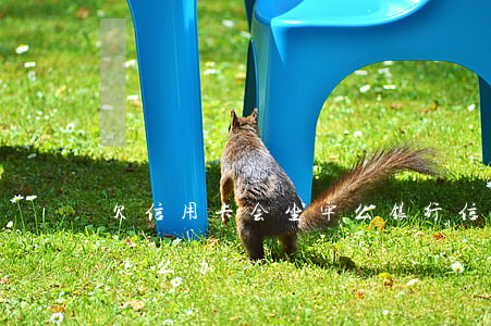 欠信用卡会坐牢么（银行信用卡逾期会坐牢吗怎么办）