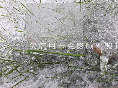 欠信用卡会影响驾照吗(欠信用卡影响贷款吗)