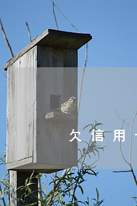 欠信用卡会怎样 欠信用卡会怎样