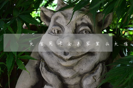 欠信用卡会来家里么(欠信用卡钱会被上门吗)