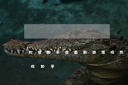 欠信用卡会查封微信吗(欠信用卡会查封微信吗知乎)