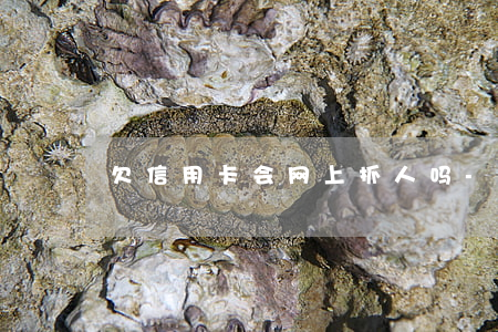 欠信用卡会网上抓人吗-欠信用卡会被抓吗