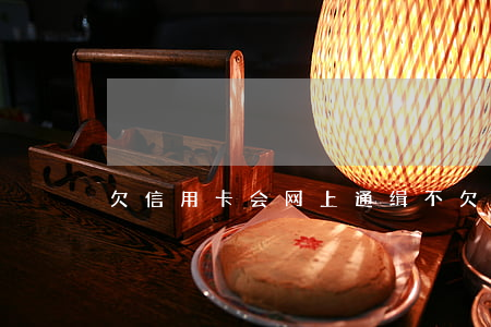 欠信用卡会网上通缉不(欠信用卡会被网逃吗)