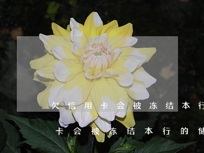 欠信用卡会被冻结本行的储蓄卡吗-欠信用卡会被冻结本行的储蓄卡吗安全吗