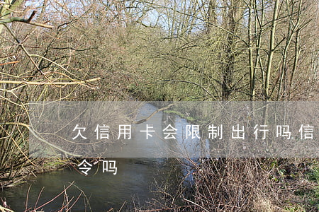 欠信用卡会限制出行吗（信用卡逾期会被限驾令吗）