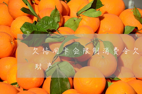 欠信用卡会限制消费令 欠信用卡会不会查封财产
