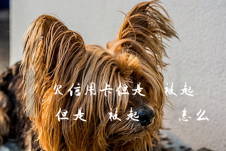 欠信用卡但是沒被起訴會怎么樣-欠信用卡但是沒被起訴會怎么樣嗎