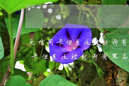 欠信用卡但是没被起诉有黑名单嘛-欠信用卡但是没被起诉有黑名单嘛怎么办