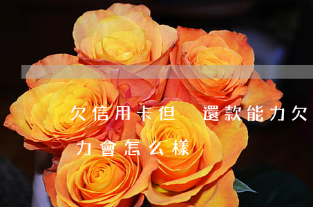 欠信用卡但沒還款能力(欠信用卡但沒還款能力會怎么樣)