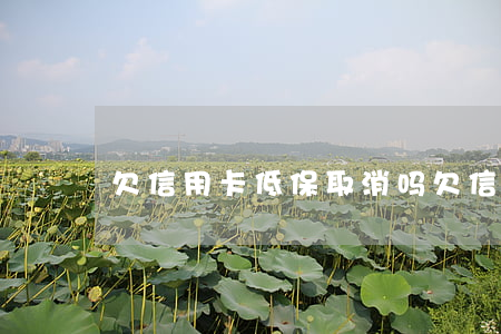 欠信用卡低保取消吗 欠信用卡钱能办低保吗