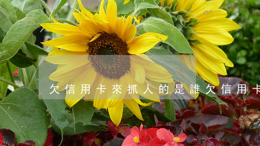 欠信用卡來抓人的是誰(欠信用卡會抓人嗎)