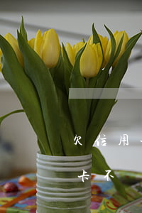 欠信用卡信用貸不還的后果(欠貸款和欠信用卡不還哪個(gè)嚴(yán)重)