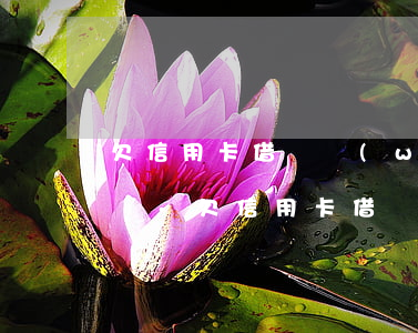 欠信用卡借唄網(wǎng)貸還不上怎么辦-欠信用卡借唄網(wǎng)貸還不上怎么辦