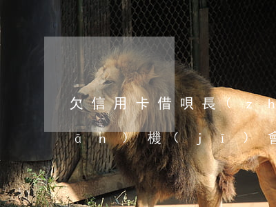 欠信用卡借唄長(zhǎng)期關(guān)機(jī)會(huì)怎么樣-