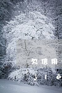 欠信用卡做筆錄(欠信用卡銀行叫我錄音結(jié)案)