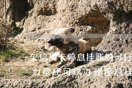欠信用卡停息挂账的可行性(欠信用卡的钱无力偿还可以办理停息挂账吗)