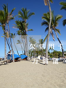 欠信用卡停息掛賬的可行性(欠信用卡的錢無力償還可以辦理停息掛賬嗎)