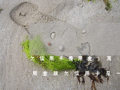 欠信用卡備用金3萬(wàn)(欠信用卡備用金跟欠信用卡是一樣嗎)