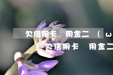 欠信用卡備用金二萬(wàn)還不上怎么辦-欠信用卡備用金二萬(wàn)還不上怎么辦呢