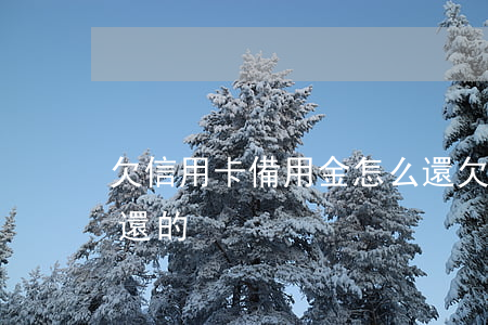 欠信用卡備用金怎么還(欠信用卡備用金怎么還的)
