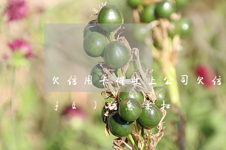 欠信用卡催收上公司(欠信用卡催收公司發(fā)信息要扣壓車輛是什么情況)