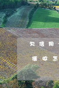 欠信用卡催收上門怎么處理-欠信用卡上門催收怎么辦