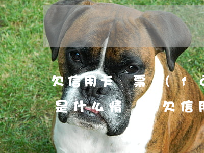 欠信用卡傳票發(fā)到家來(lái)是什么情況-欠信用卡收到傳票怎么辦