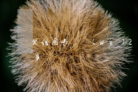 欠信用卡債務(wù)20萬(欠信用卡二十多萬)