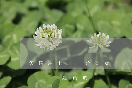 欠信用卡債務公司要上門 欠信用卡有工作人員上門是真的嗎