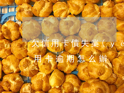 欠信用卡債失業(yè)(失業(yè)了信用卡逾期怎么辦)