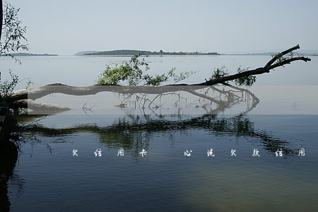 欠信用卡債心慌(欠款信用卡)