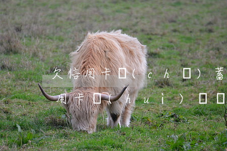 欠信用卡儲(chǔ)蓄卡扣了-欠銀行信用卡會(huì)從儲(chǔ)蓄卡扣嗎