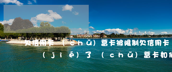 欠信用卡儲(chǔ)蓄卡被限制(欠信用卡凍結(jié)了儲(chǔ)蓄卡如何處理)