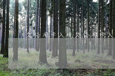 欠信用卡 入境(欠信用卡 入境有影響嗎)