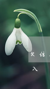 欠信用卡入職被背調(diào)有影響嗎(入職要征信報(bào)告,我信用卡有逾期)