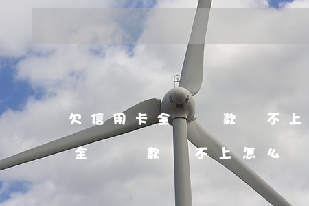 欠信用卡全額還款還不上怎么辦-欠信用卡全額還款還不上怎么辦呢