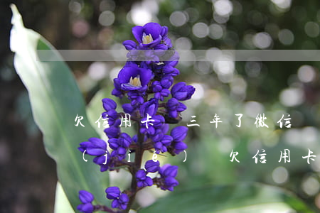 欠信用卡兩三年了微信會(huì)被凍結(jié)嗎(欠信用卡兩三年了微信會(huì)被凍結(jié)嗎怎么解凍)