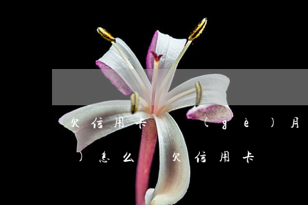 欠信用卡兩個(gè)月還不起會(huì)怎么樣(欠信用卡錢兩個(gè)月沒還了有什么后果)