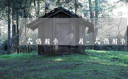 欠信用卡兩個月-欠信用卡兩個月會被起訴嗎