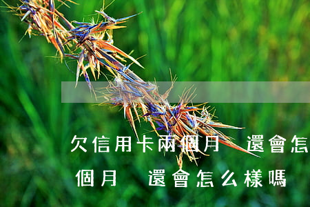 欠信用卡兩個月沒還會怎么樣-欠信用卡兩個月沒還會怎么樣嗎
