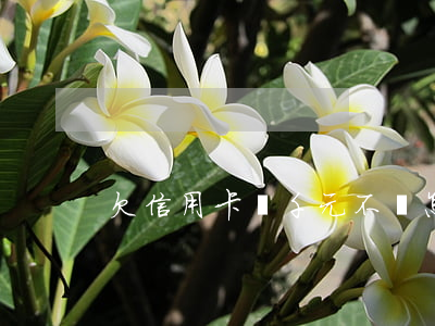 欠信用卡兩千元不還怎么辦