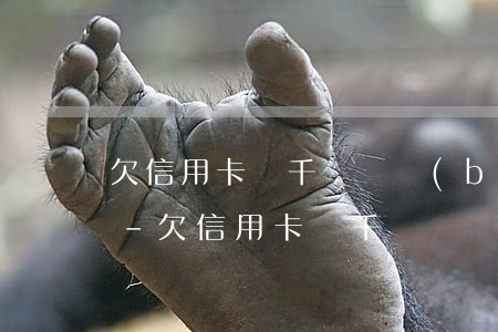 欠信用卡兩千塊錢報(bào)案了怎么辦-欠信用卡兩千塊錢報(bào)案了怎么辦理