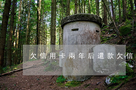 欠信用卡兩年后還款(欠信用卡兩年后還款)