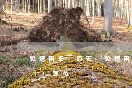 欠信用卡兩百天-欠信用卡兩百天會(huì)怎么樣
