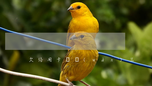 欠信用卡兩萬(wàn)三