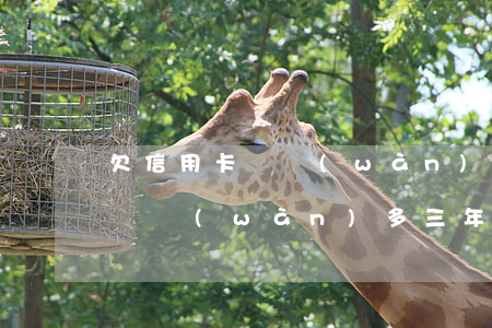 欠信用卡兩萬(wàn)多三年-欠信用卡兩萬(wàn)多三年利息多少