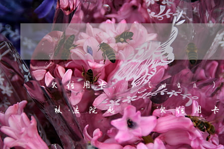 欠信用卡兩萬(wàn)無(wú)力償還被法院起訴-欠信用卡兩萬(wàn)無(wú)力償還被法院起訴怎么辦