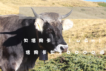 欠信用卡兩萬(wàn)逾期一年多的后果（信用卡欠20000逾期三年）